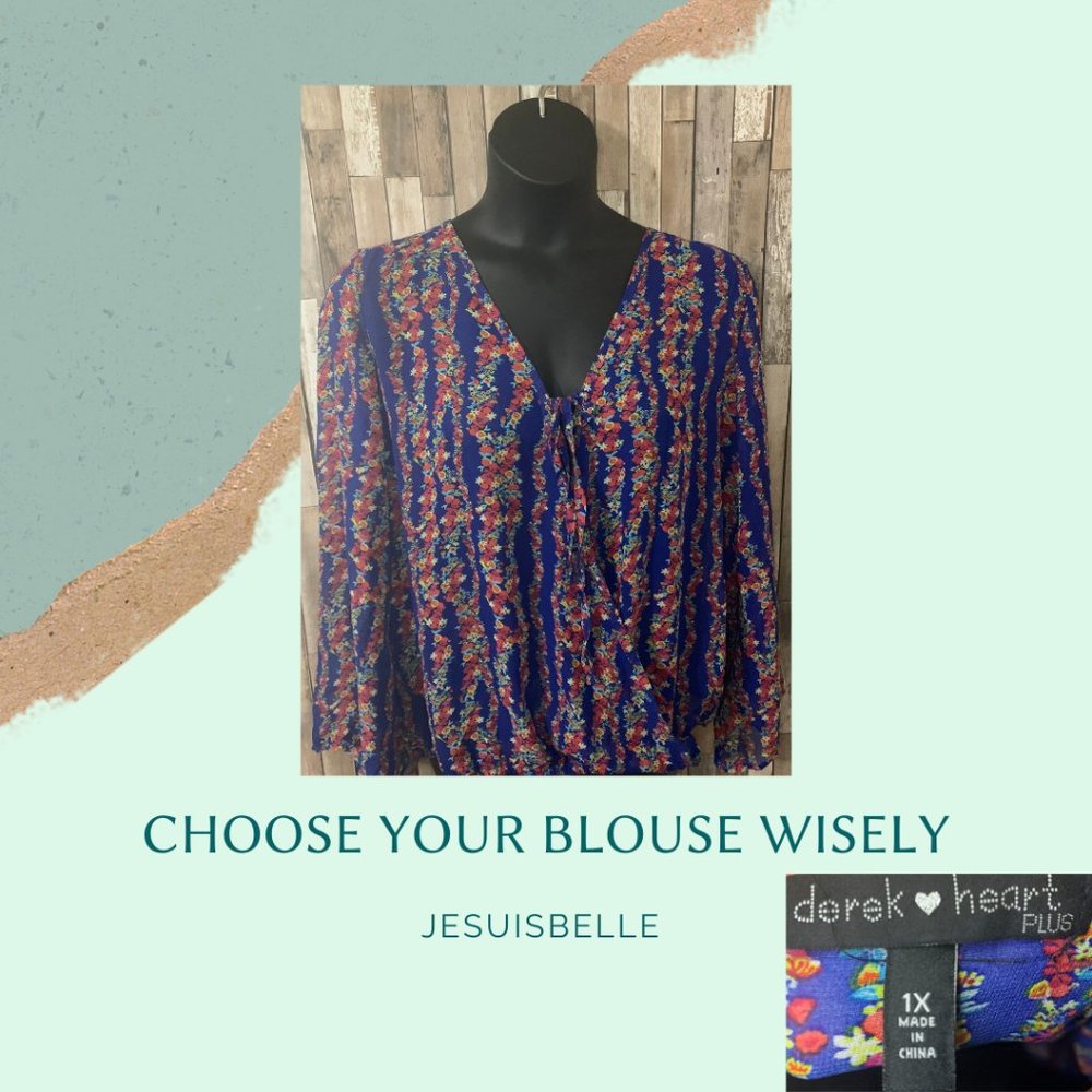 Sheer Flare Long Sleeve Blouse